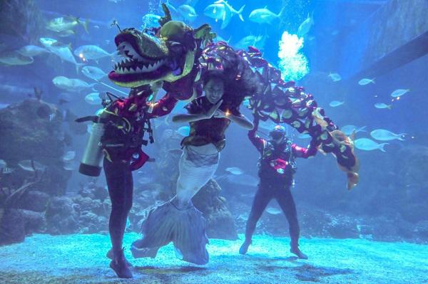 Các thợ lặn mặc trang phục hóa trang
biểu diễn múa lân truyền thống tại tại thủy cung Jakarta
(Indonesia) và công viên bảo tồn safari ở thủ đô nước này.
Ảnh: Bay Ismoyo/Getty Images