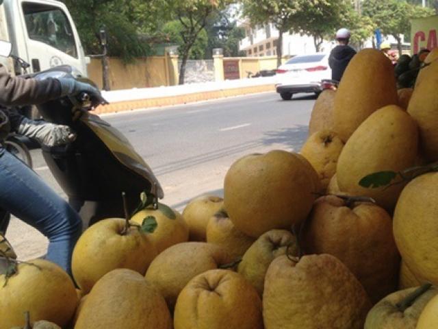 Thị trường - Tiêu dùng - Quả "siêu to khổng lồ" ở Việt Nam giá tiền triệu, gần chín phải cho cây "chống nạng"