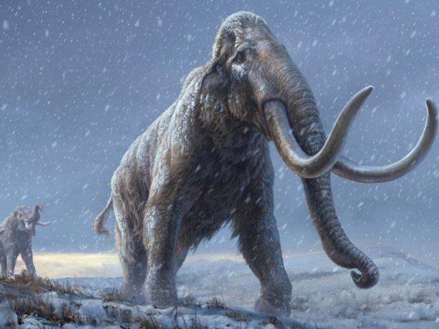 Thế giới - Phát hiện "kinh ngạc" trong lớp băng vĩnh cửu ở Siberia