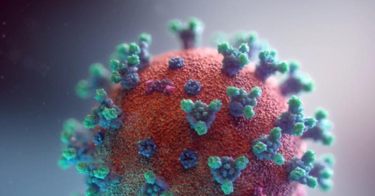 Thế giới - Đột biến mới khiến virus SARS-CoV-2 lây lan nhanh gấp 8 lần