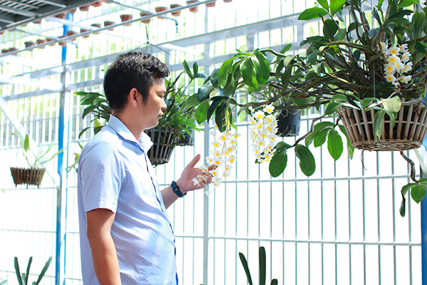 Dần Ngô và câu chuyện của người chơi lan công phu xứ Nghệ - 1