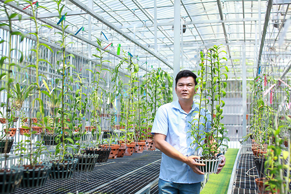 Dần Ngô và câu chuyện của người chơi lan công phu xứ Nghệ - 5