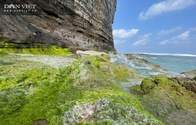 Du lịch sau Tết: Mê hoặc rêu xanh nơi sóng tự tình với đá ở đảo Lý Sơn - 6