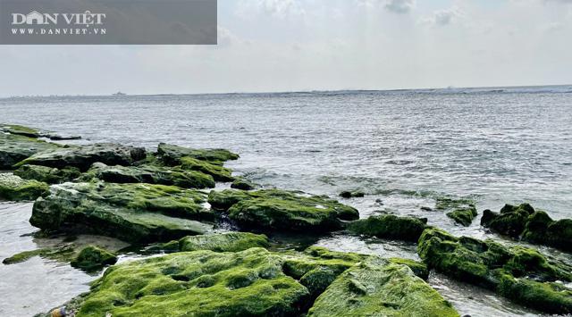 Du lịch sau Tết: Mê hoặc rêu xanh nơi sóng tự tình với đá ở đảo Lý Sơn - 2
