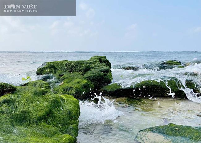 Du lịch sau Tết: Mê hoặc rêu xanh nơi sóng tự tình với đá ở đảo Lý Sơn - 3
