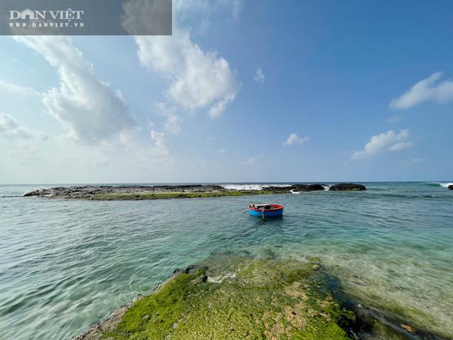 Du lịch sau Tết: Mê hoặc rêu xanh nơi sóng tự tình với đá ở đảo Lý Sơn - 8