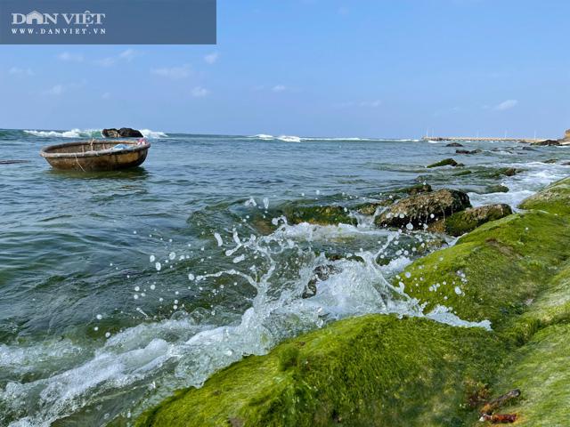 Du lịch sau Tết: Mê hoặc rêu xanh nơi sóng tự tình với đá ở đảo Lý Sơn - 11