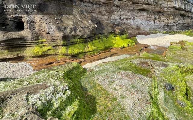 Du lịch sau Tết: Mê hoặc rêu xanh nơi sóng tự tình với đá ở đảo Lý Sơn - 10