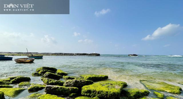 Du lịch sau Tết: Mê hoặc rêu xanh nơi sóng tự tình với đá ở đảo Lý Sơn - 9