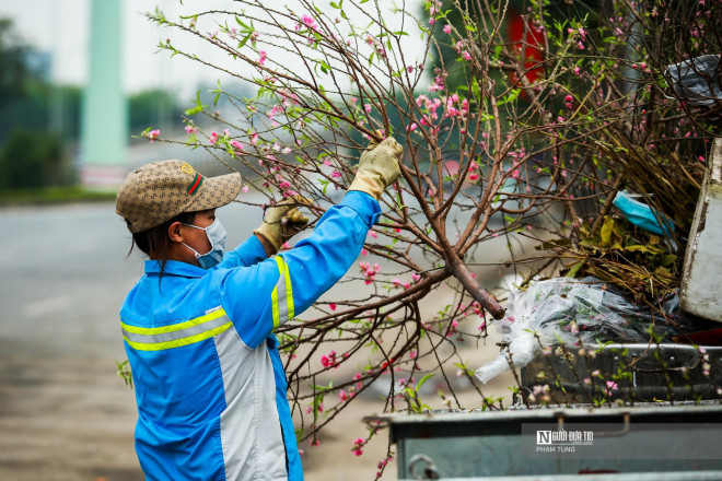 Một công nhân môi trường quận Nam Từ Liêm cho hay: "Bắt đầu ra Tết âm lịch, từ ngày mồng 2 Tết, trên khắp các tuyến đường dọn vệ sinh hầu như ngày nào cũng có cành đào người dân vứt bên đường, nhiều cành đào lớn khiến việc thu gom rác gặp nhiều khó khăn hơn."