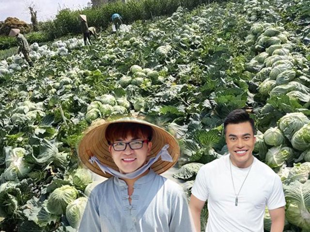 Sao Việt “tiếp lửa” nông dân Hải Dương: “Thánh livestream kiếm 3 tỷ/tháng” mua 5 tấn nông sản