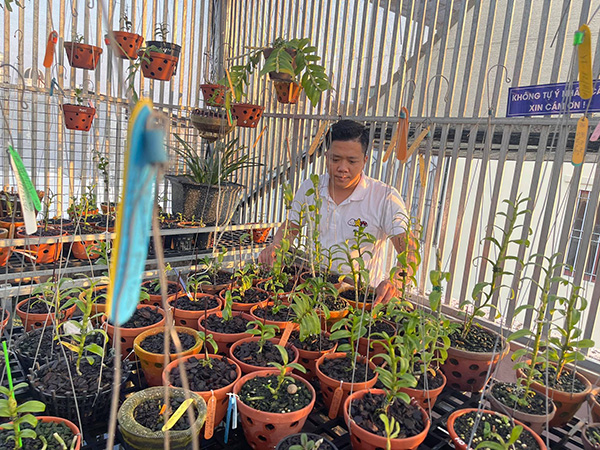Ông chủ vườn lan Diệp Minh Tuyền: Cơ duyên đến muộn, đam mê không điểm dừng - 4