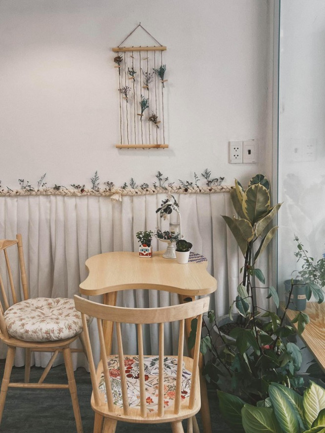Ảnh: Mùa hoa nở