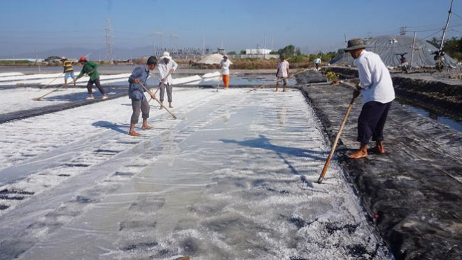 Hết vụ mùa, những diêm dân trở thành lao động tự do. Họ tìm công việc khác mưu sinh như phụ hồ, công nhân, làm rẫy.