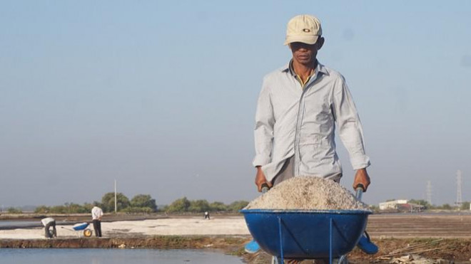 Người dân thu hoạch muối đầu năm.