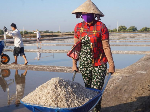 Thị trường - Tiêu dùng - Cận cảnh "nghề gieo nước biển" đầu năm ở phương Nam