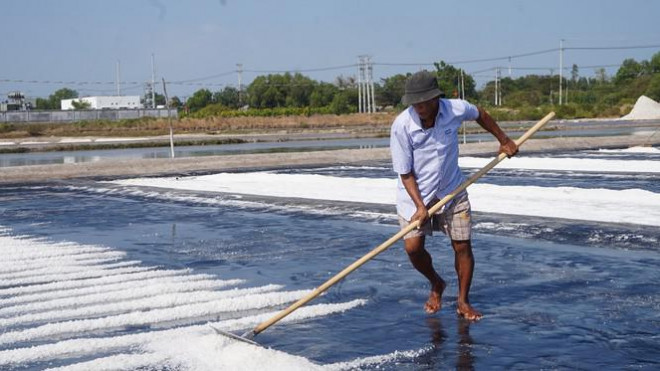 Năm nay thời tiết không thuận lợi, vụ đầu năm giảm sụt.