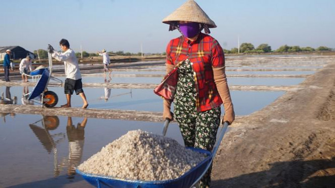 Nghề làm muối lắm gian nan, để có những hạt muối họ phải “bán mặt cho đất, bán lưng cho trời”.