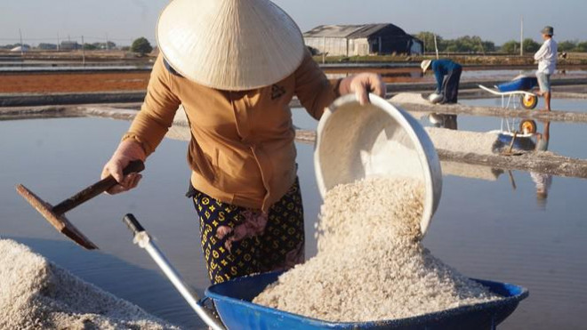 Cận cảnh "nghề gieo nước biển" đầu năm ở phương Nam - 9