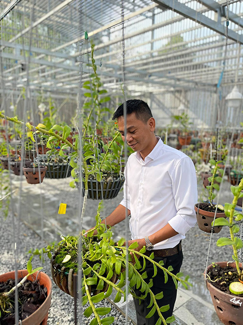 Vinh Phạm: Chàng trai Bình Định chơi lan để thỏa mãn đam mê - 2