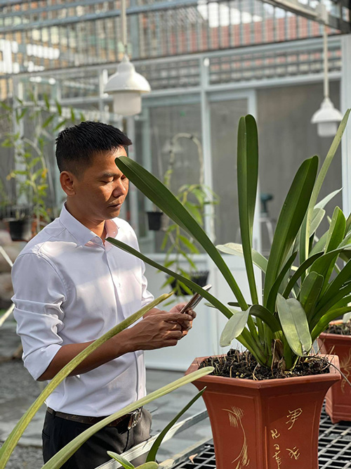 Vinh Phạm: Chàng trai Bình Định chơi lan để thỏa mãn đam mê - 4