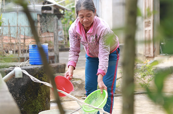 Tết của mẹ là khi con về nhà... - 2