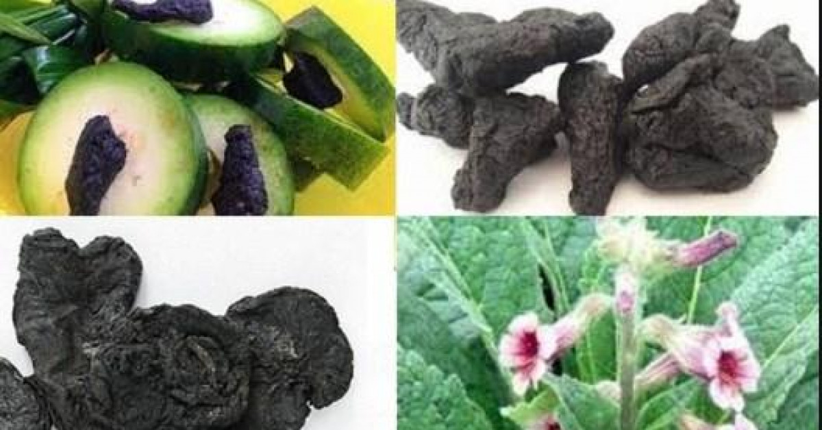 Sức khỏe đời sống - Rượu thuốc bổ khí huyết tuổi trung niên