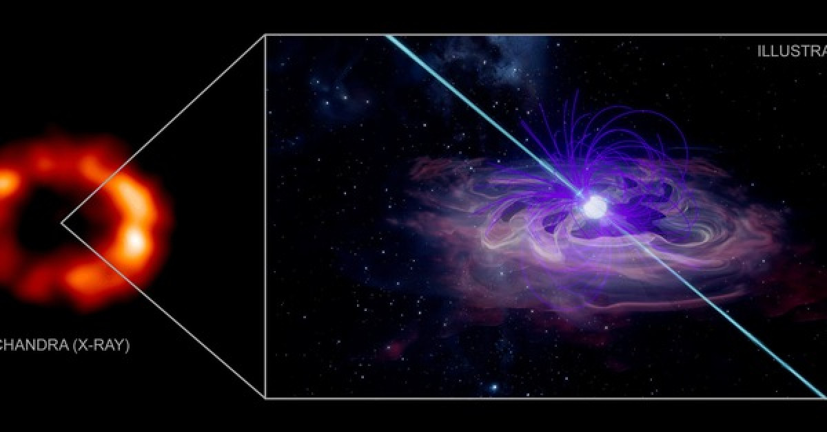 Hình ảnh từ CHANDRA (trái) và ảnh đồ họa mô tả vật thể đáng sợ là sao neutron nằm giữa một tinh vân tuyệt đẹp - Ảnh: NASA