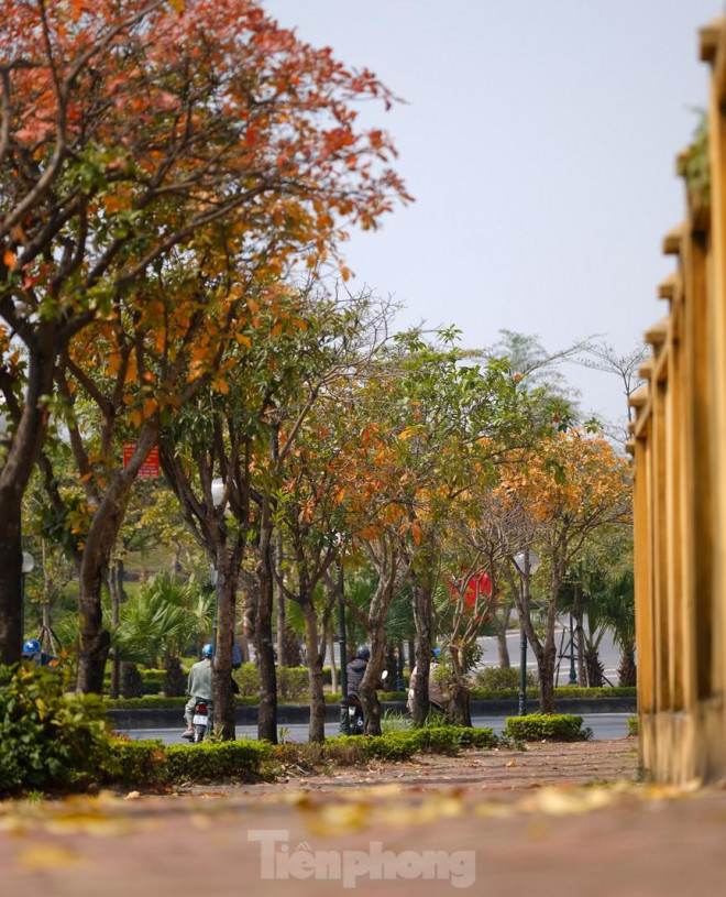 Nhiều con đường tuyến phố được ví đẹp như khung cảnh ở châu Âu.