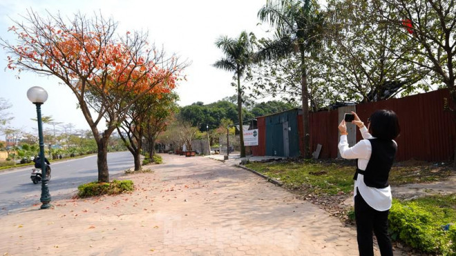 Nhiều bạn trẻ thích thú "check in" ghi lại khoảnh khắc ngắn tuyệt đẹp đầu năm.