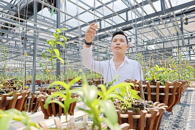 Hé lộ vườn lan đột biến hơn 100 loài của ông chủ 8X Trương Tấn Lợi - 5