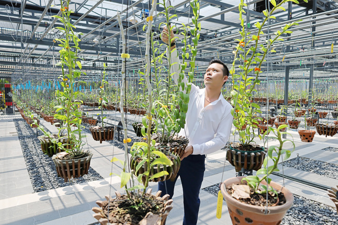 Hé lộ vườn lan đột biến hơn 100 loài của ông chủ 8X Trương Tấn Lợi - 6