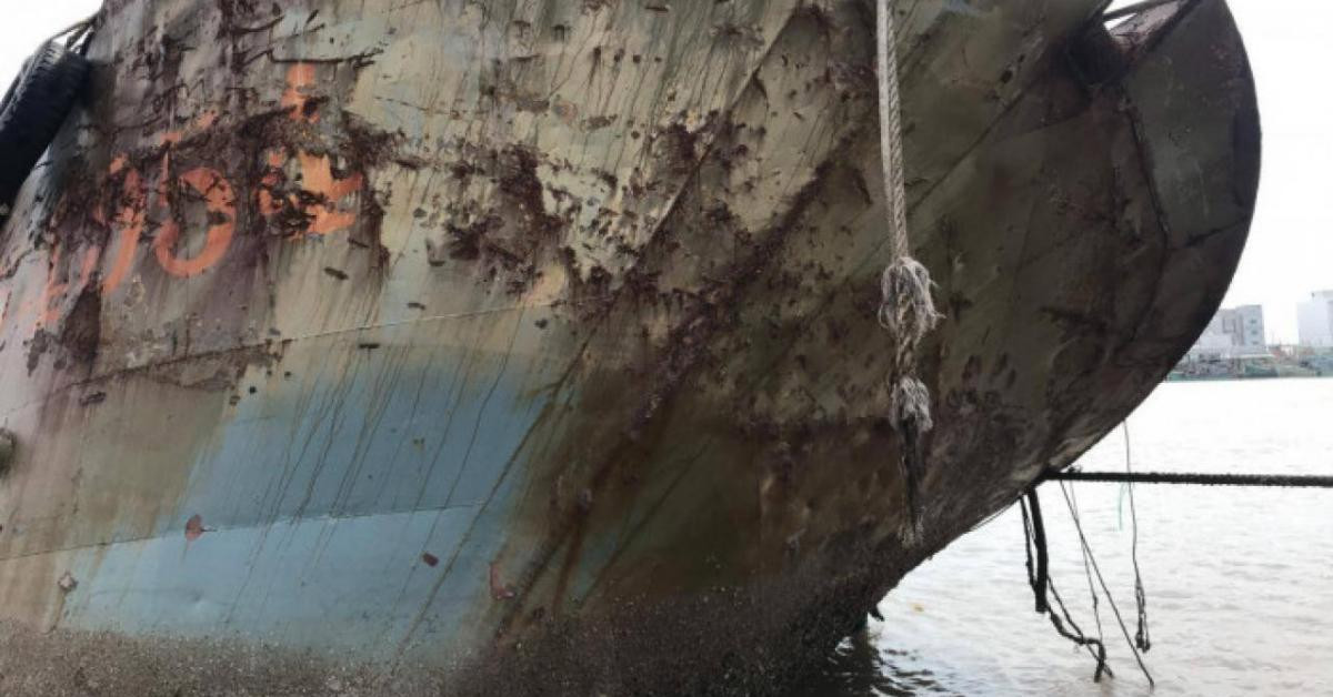 Tin tức trong ngày - Sự thật xác tàu “lạ” trôi dạt vào bờ biển Gành Hào