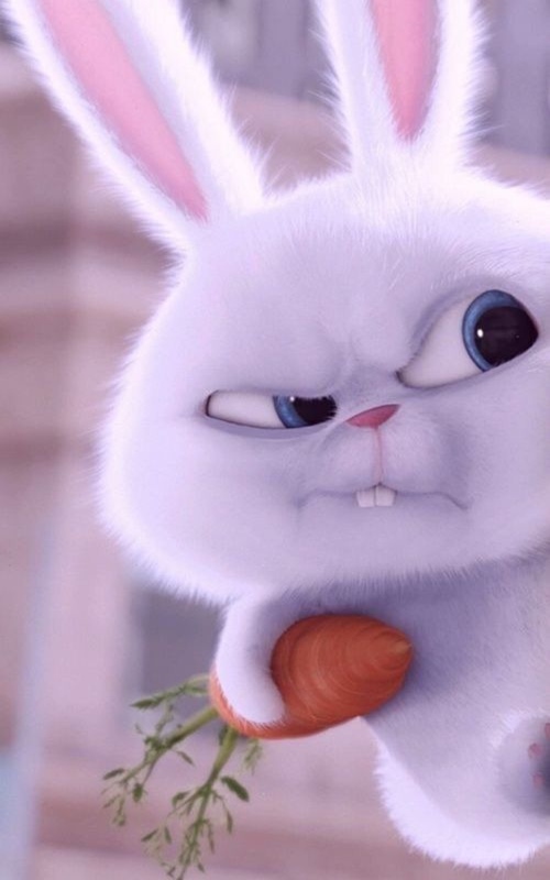 Tạo hình nền tai thỏ trở thành tai mèo, tai gấu cho iphone X | Character,  Snoopy, Fictional characters