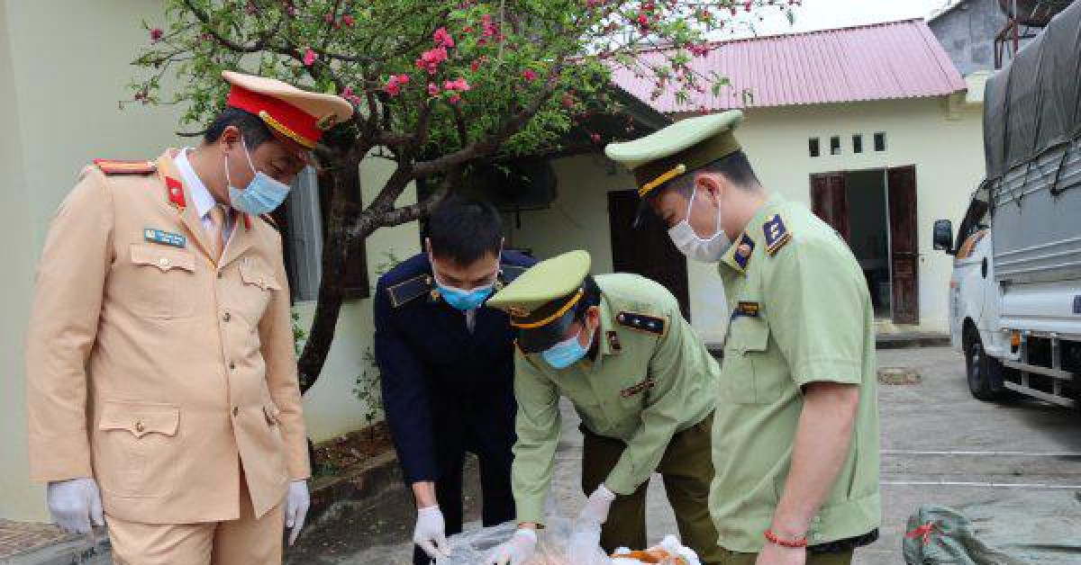 Thị trường - Tiêu dùng - Dùng biển số xe giả để vận chuyển 2,5 tấn nầm lợn đã biến chất