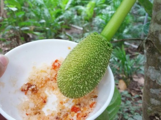 Ẩm thực - Thức quà tuổi thơ nghèo làm món này, sơn hào hải vị bỗng dưng "nhạt nhẽo"