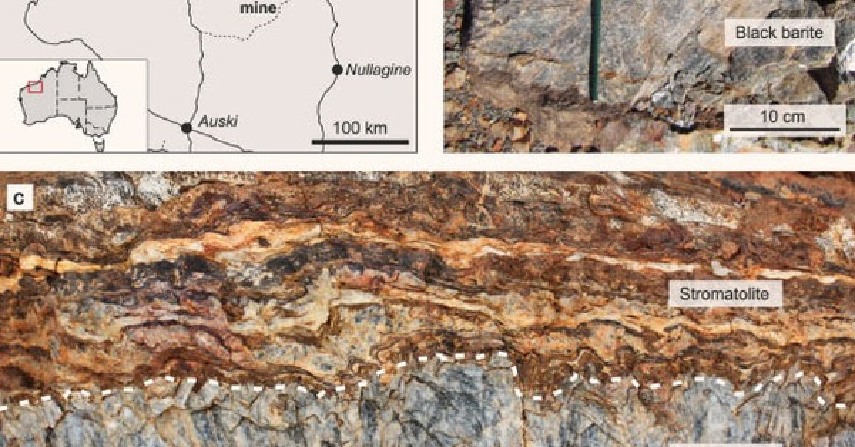 Cận cảnh tảng đá quý giá được khai quật ở Úc - Ảnh: Nature Communications
