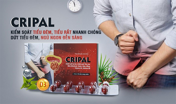 Sản phẩm viên uống Cripal giúp kiểm soát tiểu són, tiểu đêm hiệu quả
