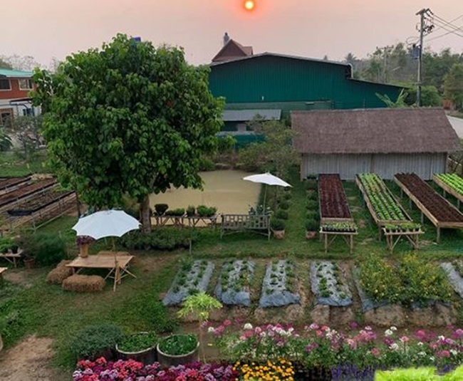 Tháng 12/2016, Anek đã xây dựng trang trại trồng rau, hoa hữu cơ ở Chiangmai. Anh lai tạo giống, bán cây giống và rau hữu cơ.
