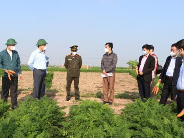 Tin tức trong ngày - Hải Dương kết thúc 15 ngày cách ly xã hội, gỡ bỏ phong tỏa Cẩm Giàng, Chí Linh từ 3-3