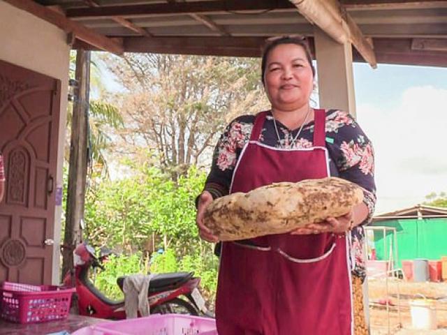 Thế giới - Nhặt được khối "đá hôi" ngoài bờ biển, không ngờ là báu vật đại dương giá 6 tỷ đồng