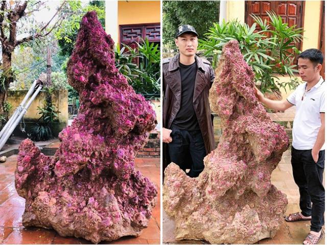 Thị trường - Tiêu dùng - “Báu vật” của đất Lục Yên giá 8 tỷ "gây sốt" giới nhà giàu Việt