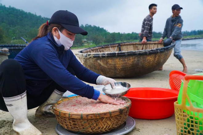 Từng thúng ruốc tươi cập bờ chờ thương lái đến thu mua.