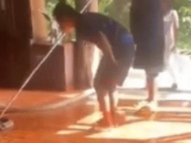 Media - Khống chế rắn hổ mang chúa dài gần 6m đột nhập nhà dân