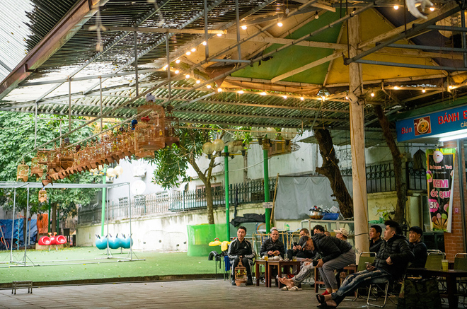 Quán cà phê trên đường Trần Quý Kiên, Cầu Giấy, từ sáng sớm đã đông đúc khách tới để vừa uống cà phê vừa nghe chim hót.