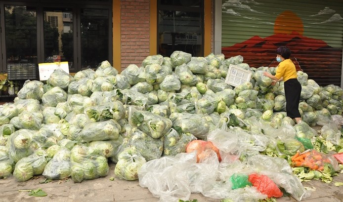 Gắn bó với người nông dân từ những ngày tháng rẽ lối đi&nbsp;buôn hoa quả, chị lại bắt tay vào công cuộc giải cứu nông sản vùng dịch.