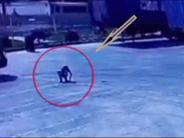 Media - Vào cua, xe tải "nuốt" người đàn ông vào gầm xe