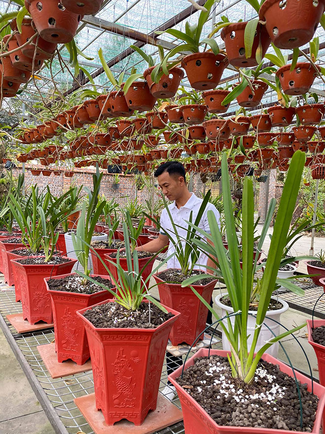 Ông chủ vườn lan Sỹ Trần: “Con nhà nòi” và hành trình gây dựng 2 vườn lan “vạn người mê” - 4