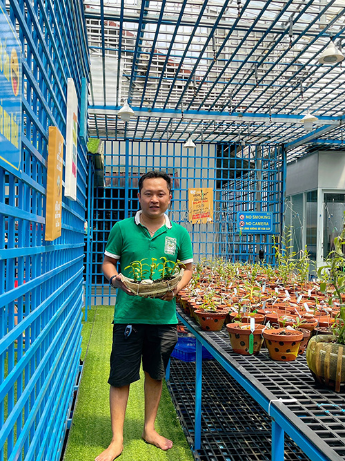Theo anh Hiền, hoa lan không dễ chăm sóc, người chơi lan phải bỏ rất nhiều công sức và tâm huyết.
