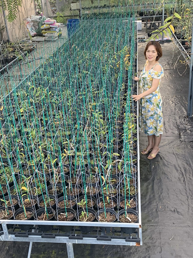 Bà chủ Vườn lan Thu Thanh: Từ vùng quê nghèo đến vườn lan 5.000 chậu - 2